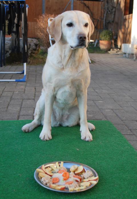 Tanée, 9. Geburi